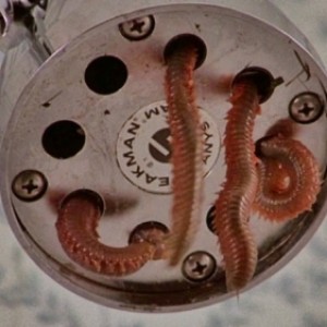 ZzzirK dBiel001 - 2022-06-28 Squirm