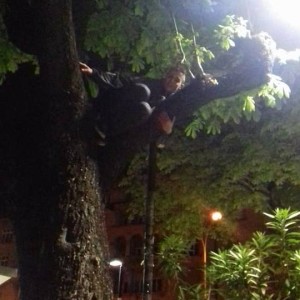 budi retard breakcore