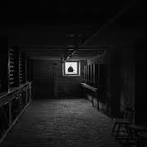 ZzzirK dBiel001 - 2008-12-28 I like this cellar