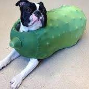 ZzzirK dBiel001 - 2009-01-17 In a pickle